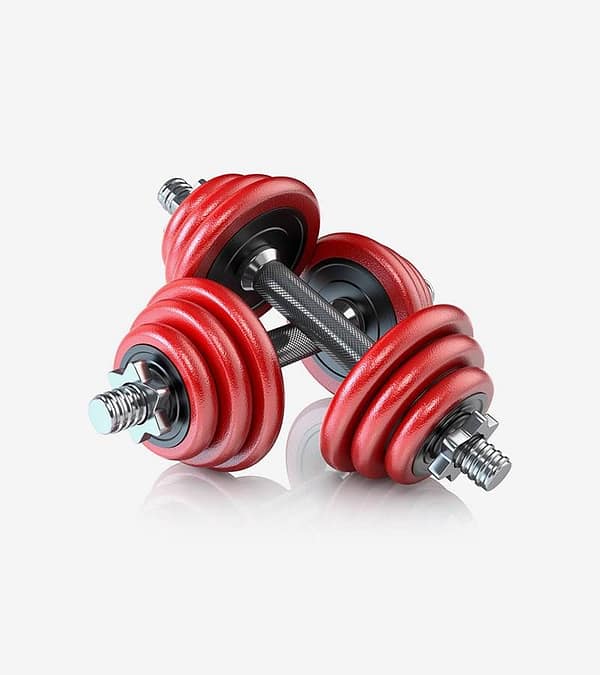 A Pair Of Dumbbells-1 product