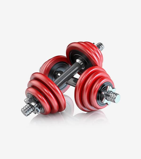 A Pair Of Dumbbells-2 product
